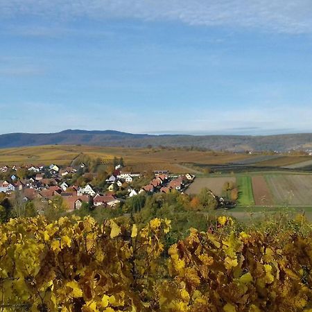 Scharrachbergheim-IrmstettLe Repaire Des Hirondelles - Le Colombage别墅 外观 照片